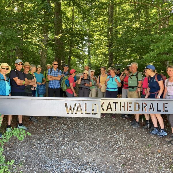 Waldkathedrale