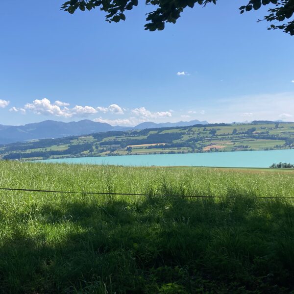 herrliche Aussicht
