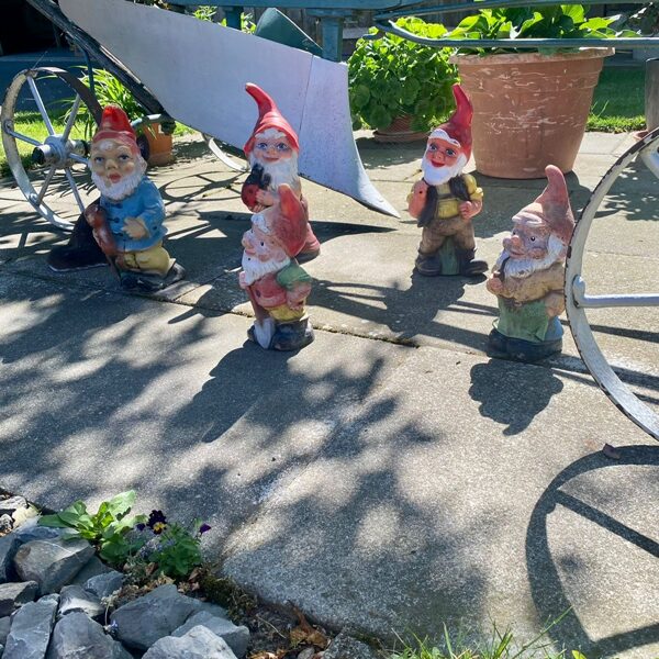 lustige Wegrand-Gesellen