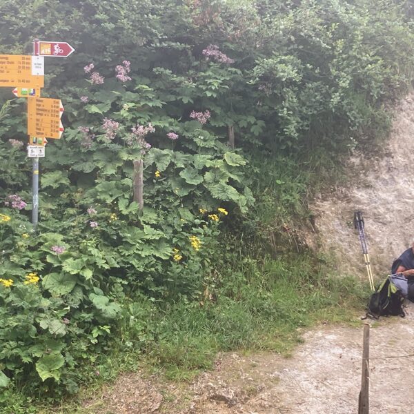Mittagspause der Wanderleiterin