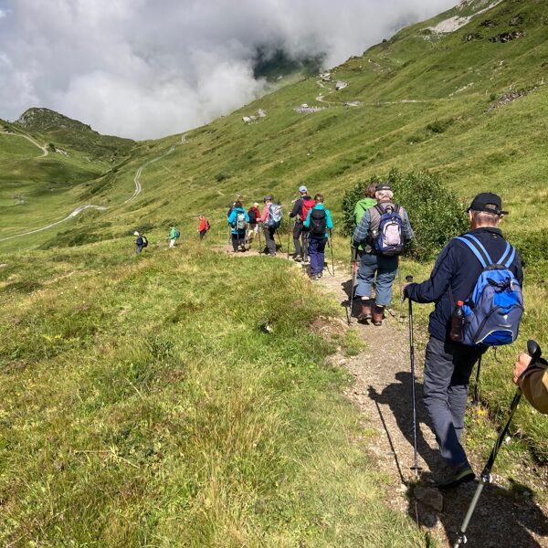 auf dem Weg - ein Auf und Ab!