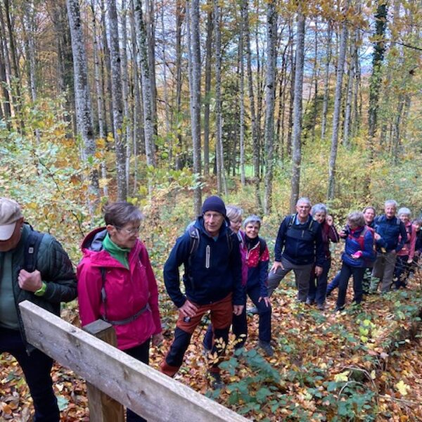 Aufstieg zum Karrenhof