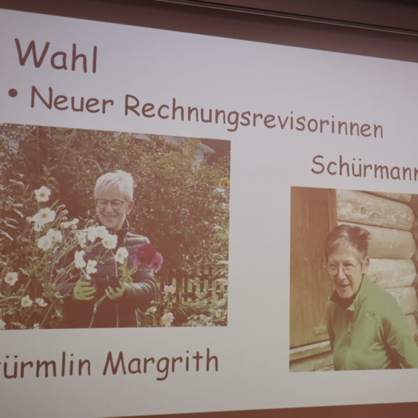 neu gewählte Rechnungsrevisorinnen