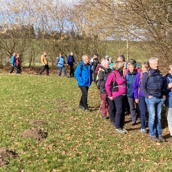 Es wird immer sonniger!