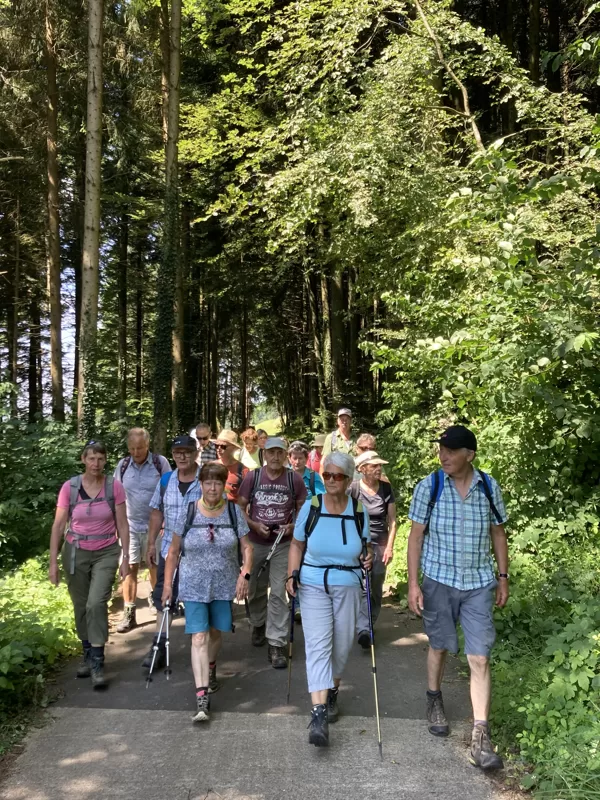 Angenehm durch den Wald zu wandern.