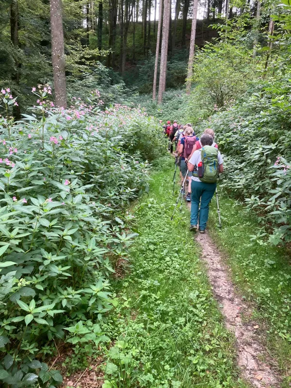 auf zum Picnicplatz