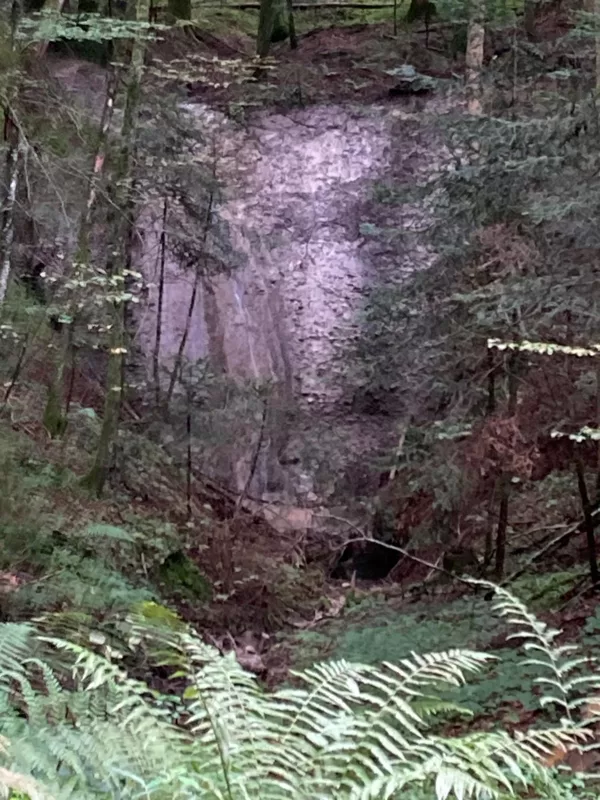 Natur pur