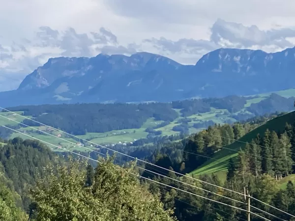herrliche Ausicht