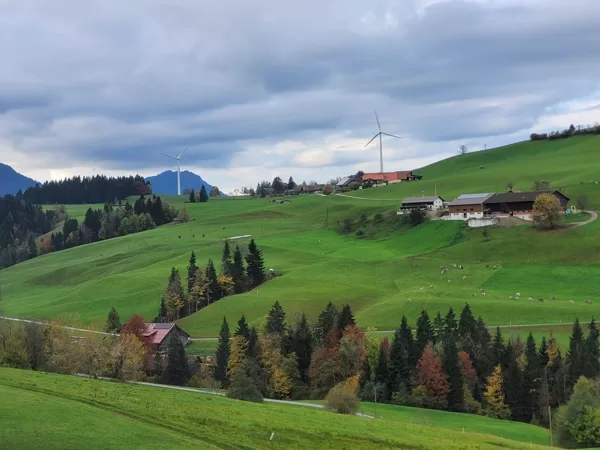 mit Blick auf die Windräder