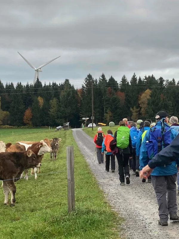 Begrüssung der Kühe