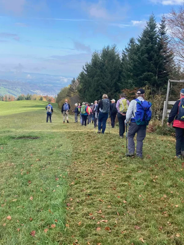 aus dem Wald auf die Wiese, da findet man......