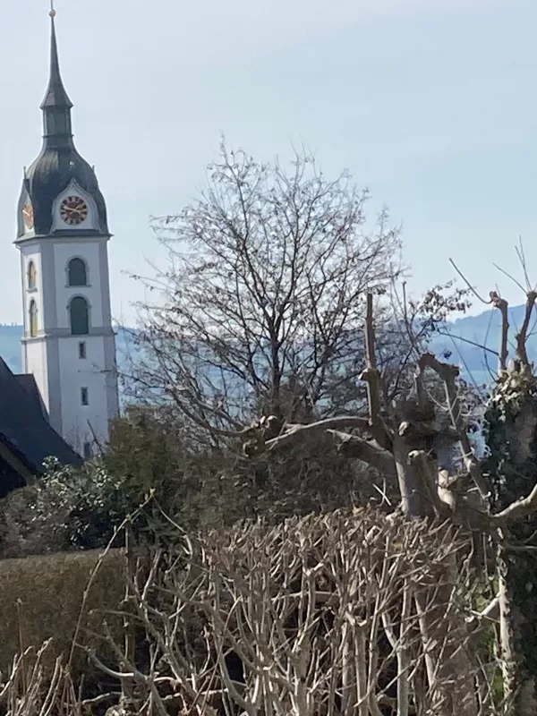 Kirche von Sempach
