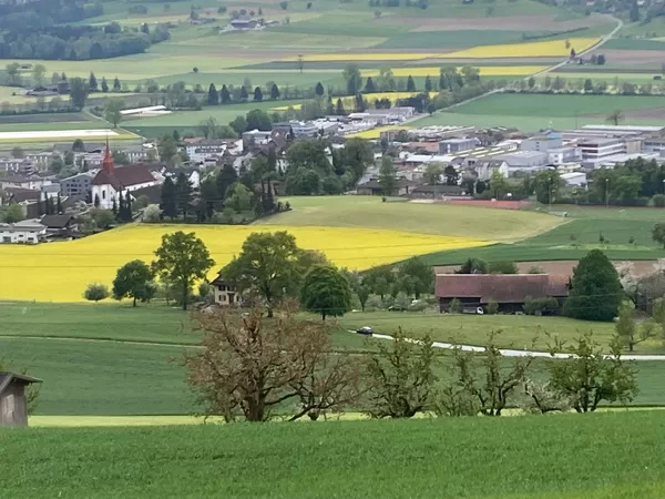 Leuchtende Rapsfelder
