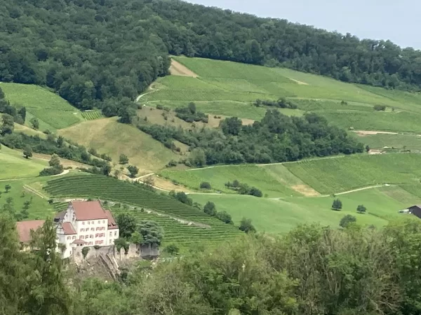 Blick auf Schloss Biberstein