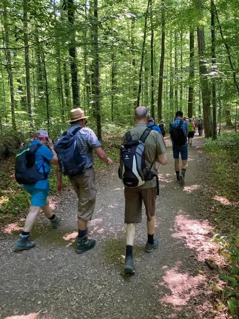 strammen Schrittes durch den Wald