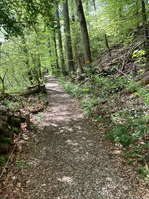 Naturlehrgebiet Ettiswil