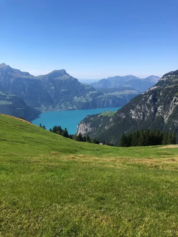 Blick auf Urnersee, Seelisberg und Niederbauen