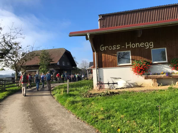 vorbei am Gross-Honig