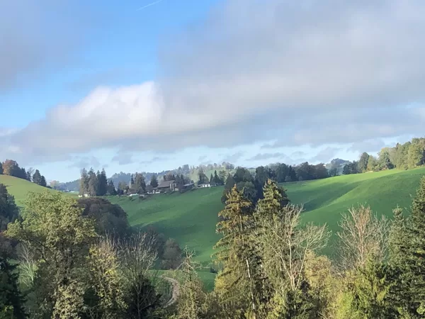 Herrliche Aussicht