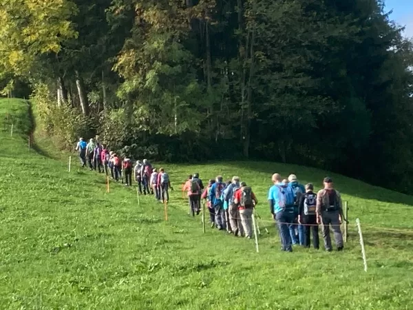 28 Wanderer/innen