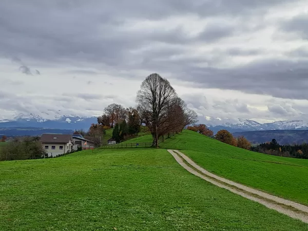 schöner Ausblick