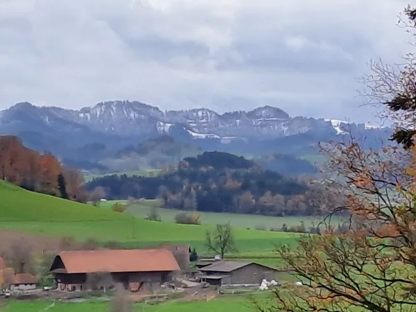 Weitblick