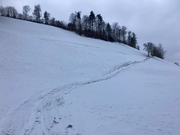 Schneepfad
