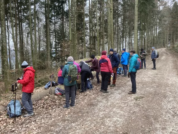 Trinkhalt im Hornbuchwald