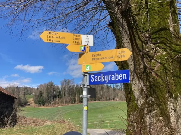 Marsch in Richtung LUEG-Denkmal