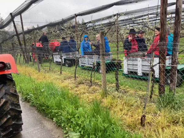 "Wettfahrt" durch die Obstplantage