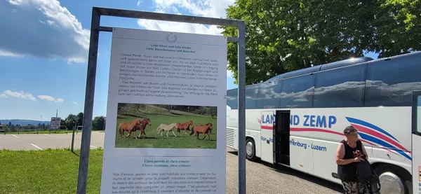 zur Pferdepension 