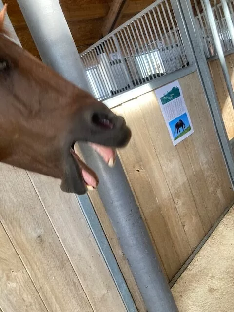 "nette Begrüssung"