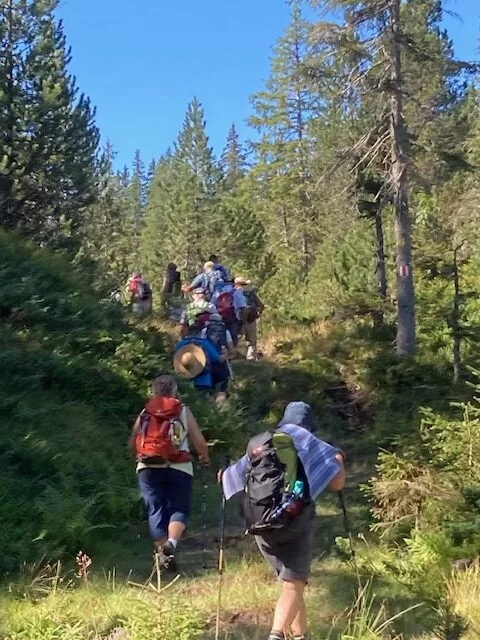 stetig gehts aufwärts
