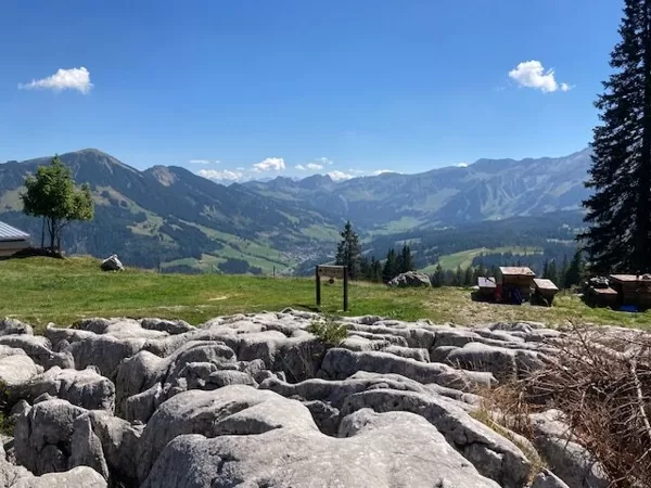 herrliche Aussicht auf 1567 m ü.M