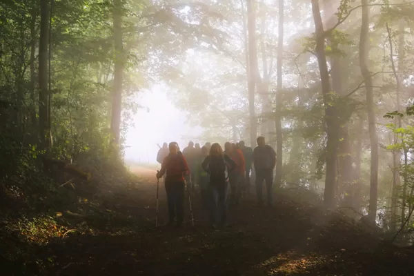 aus dem Nebel der Sonne entgegen