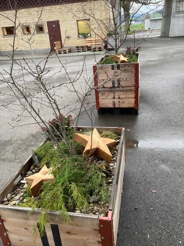 Adventsdekor im Burgrain