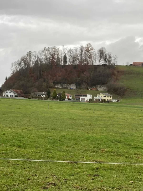 vom Dachsenberg her...